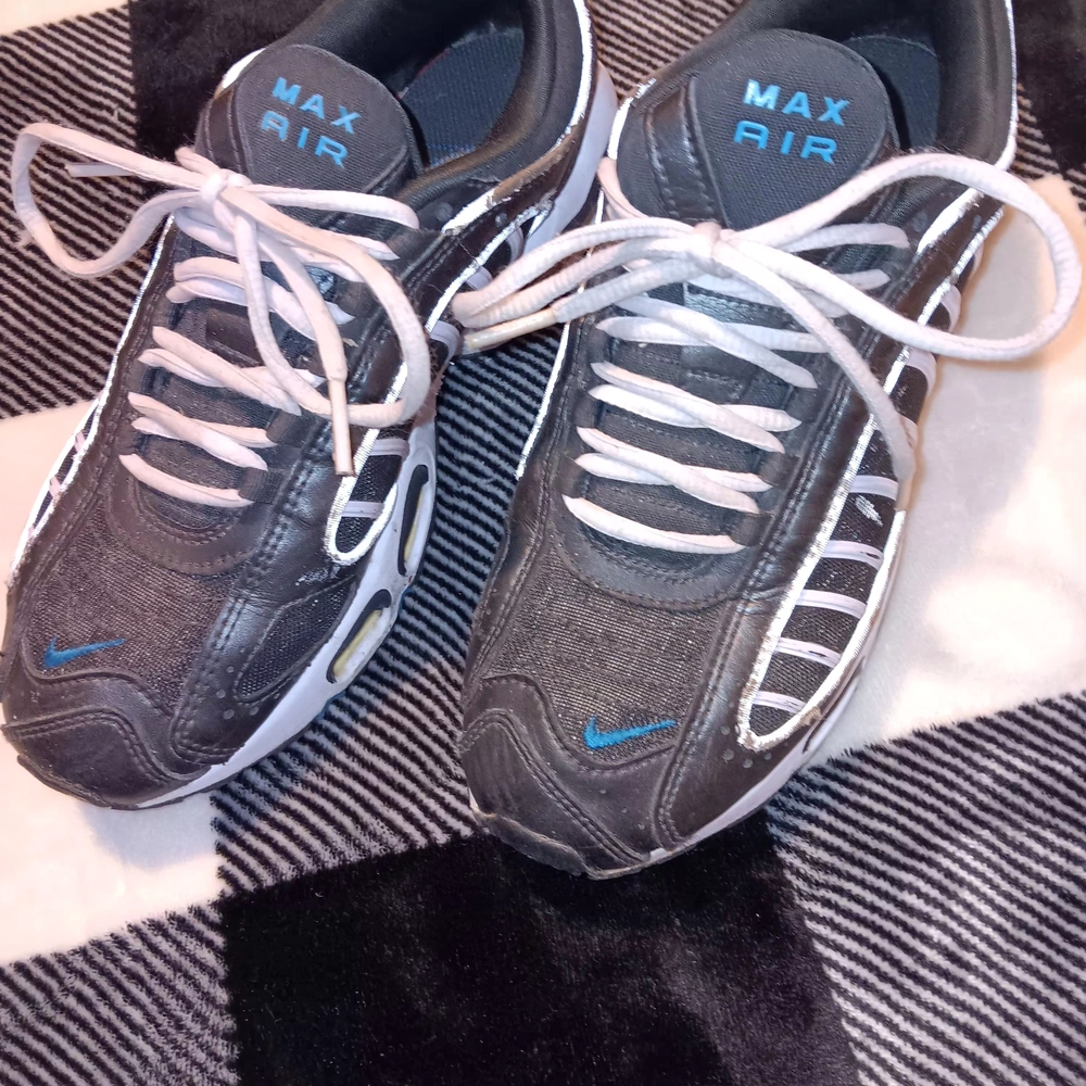 Nike Max Air Gray Sneakers